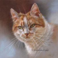 'Katten portret - Dikkie dik', 25x25 cm, pastel (opdracht/verkocht)