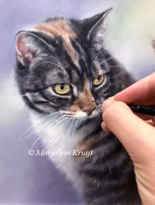 Kattenkunst, kattenportretten, schilderijen in opdracht door Marjolein Kruijt