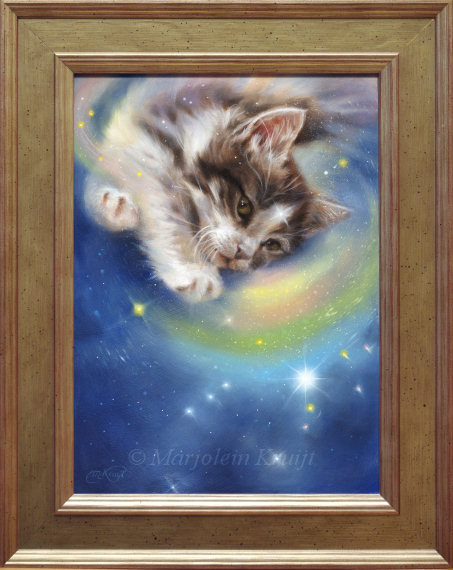 'Release' -Kitten/Orion, 30x22 cm, olieverf schilderij (te koop)