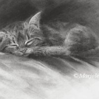 'Slapende kitten', 22x15 cm, houtskool (verkocht)