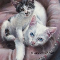 'Kittens', 24x18 cm, olieverf portret (verkocht/opdracht)