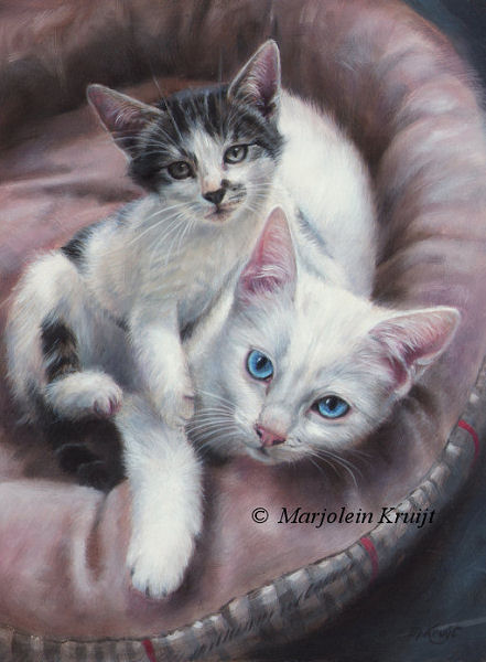 'Kittens', 24x18 cm, olieverf portret (verkocht/opdracht)