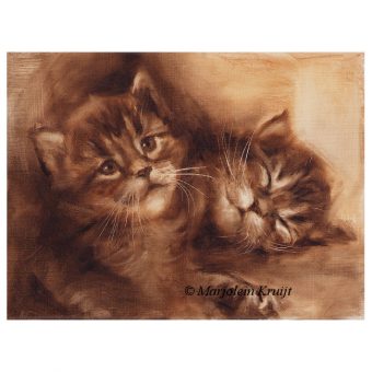 'Kittens in sepia', 18x24 cm, olieverf schilderij (te koop)