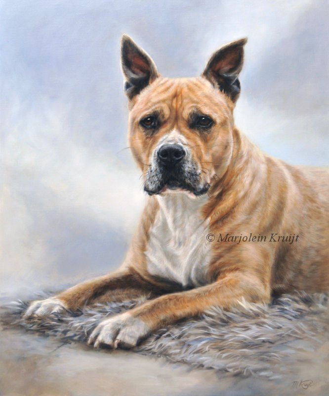 'American stafford'-Easy 60x50cm, oil painting (sold)