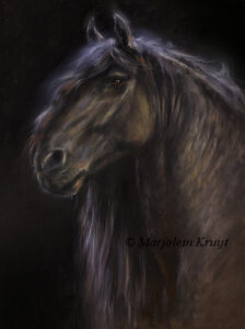 'Fries', vrij paardenportret in opdracht , olieverf (verkocht)