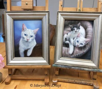 Portretschilderij kat, kattenportretten en huisdieren schilderijen in opdracht ~ Marjolein Kruijt