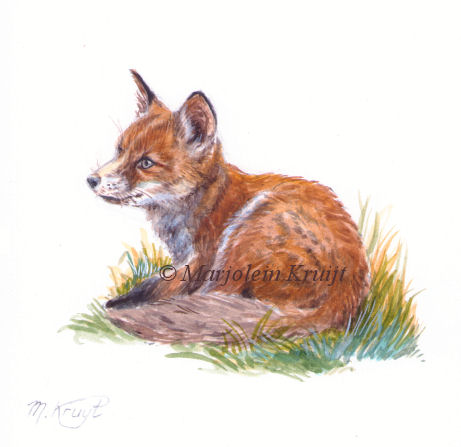 'Baby vosje', 11x11 cm, (schilderij te koop)