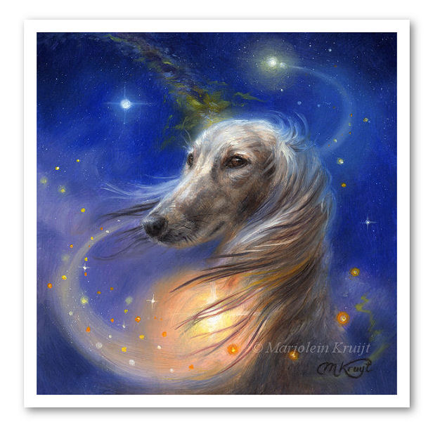 Definitie Penetratie ledematen Saluki hond- kunst reproductie schilderij te koop - Marjolein Kruijt