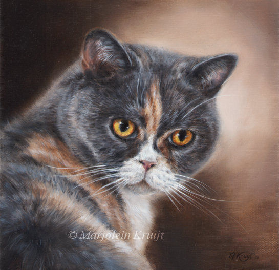 'Sox', katten olieverf schilderij, 20x20 cm (opdracht/verkocht)