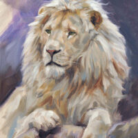 'Witte leeuw', 18x24 cm, olieverf schilderij, (te koop)