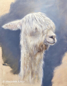 'Suri alpaca', 24x30 cm, olieverf schilderij,(te koop)