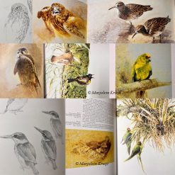 'Ray Harris Ching' New Zealand birds boek [te koop)