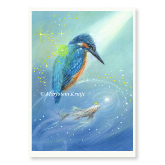 'Ijsvogel - Kingfisher' - limited edition print