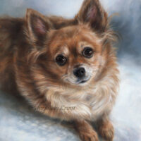 'Chihuahua'- Aica, 40x30 cm, olieverf (portret in opdracht)