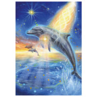 'DOLFIJN - Dolphin' - spiritueel schilderij (te koop)