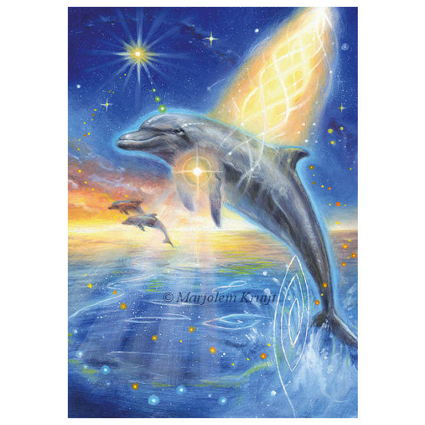 dolfijn spiritueel schilderij TE KOOP - door Kruijt