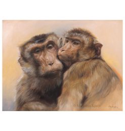 'Laponderapen'- Best friends, 30x40 cm olieverf schilderij (verkocht)