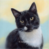 'Kattenportret'-Wobbie, 20x20 cm, olieverf op doek (verkocht/opdracht)