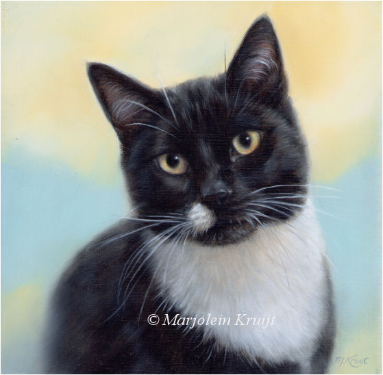 'Kattenportret'-Wobbie, 20x20 cm, olieverf op doek (verkocht/opdracht)