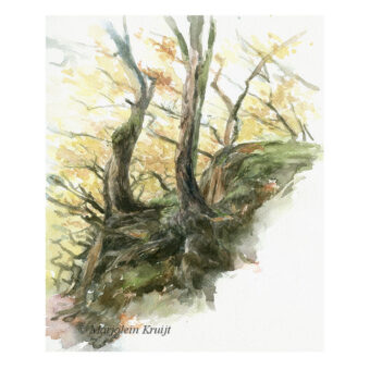 'Mystieke bomen', ca. 30x24cm, aquarel schilderij (te koop)