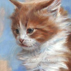 'Rood witte kitten', 18x13cm, olieverf (NTK) -artist collection