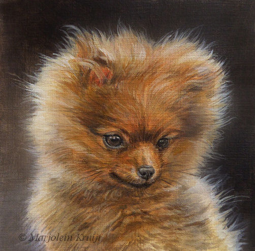 'Pomeranian puppy', painting 13x13 cm, acrylic, (for sale)