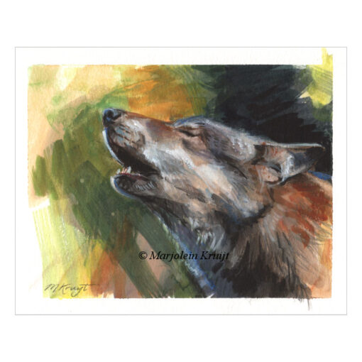 'Huilende Wolf'- calling the day, 16x20 cm, gouche schilderij (te koop)