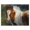 'Shetlandpony veulen', schilderij 18x24cm [te koop]